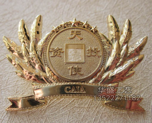 中国天使投资协会徽章