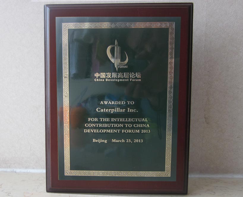 中国高层发展论坛奖牌
